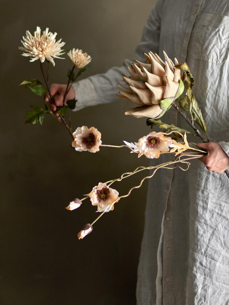 Protea Stilk, Natur, Kunstige Blomster